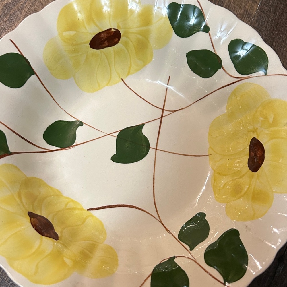 Blue Ridge Southern Potteries Ridge Daisy platter and Serving Bowl Hand Painted - Picture 5 of 10